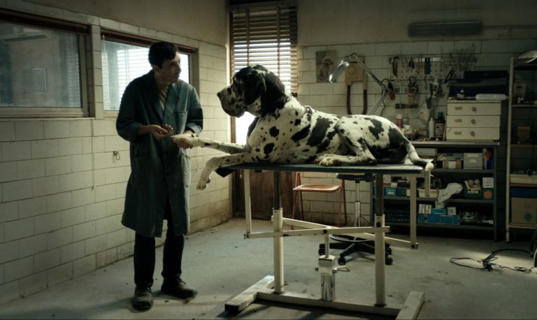 Dogman - gallery